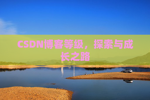 CSDN博客等级,探索与成长之路